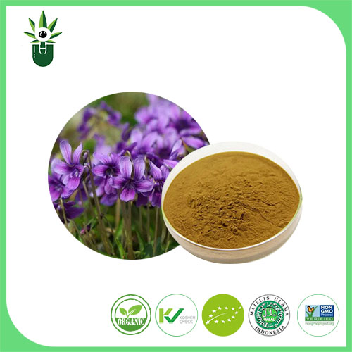 Plant Essential Oil